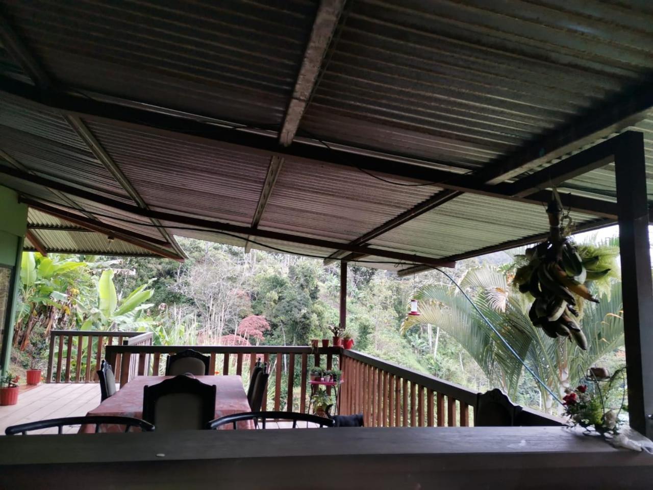 Bella Vista Guest House Turrialba Extérieur photo