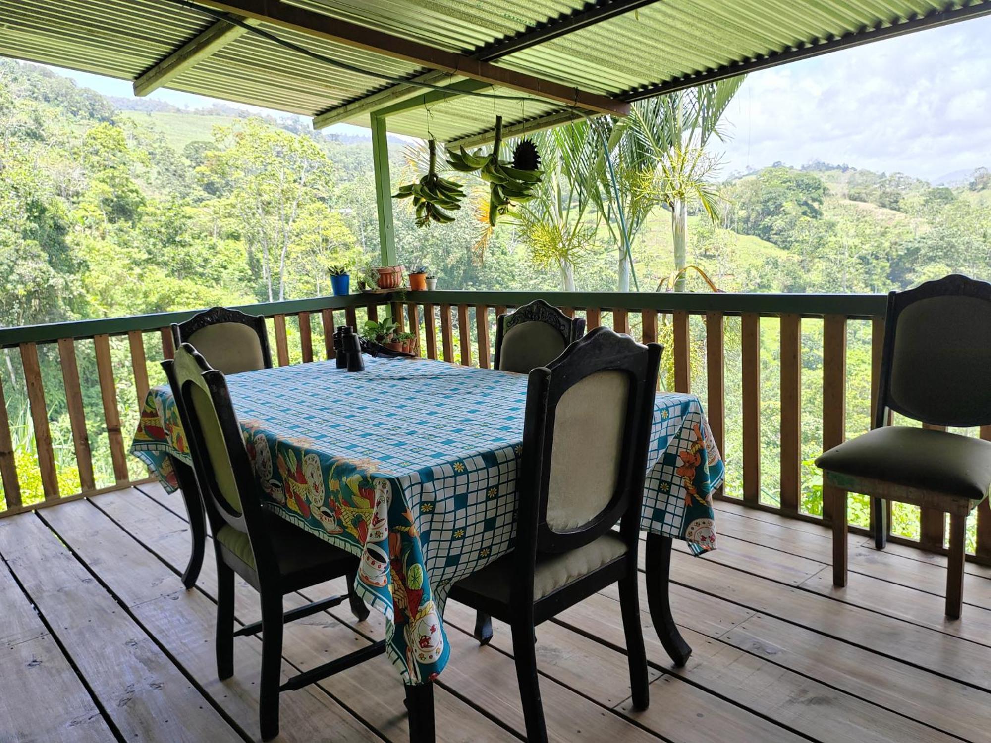 Bella Vista Guest House Turrialba Extérieur photo